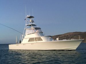 52' PLEYSIER PANAWONICA - Torrens Luxury Collection - 1