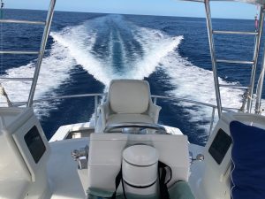 52' PLEYSIER PANAWONICA - Torrens Luxury Collection - 3