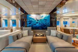 Sky lounge - Scott Free -  Yacht for Sale - Torrens Luxury Collection